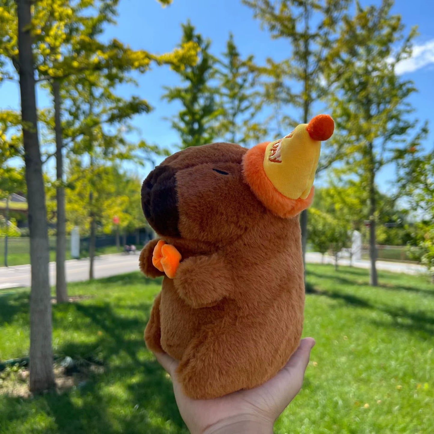 Capybara Plush Toy (Multiple Styles!)
