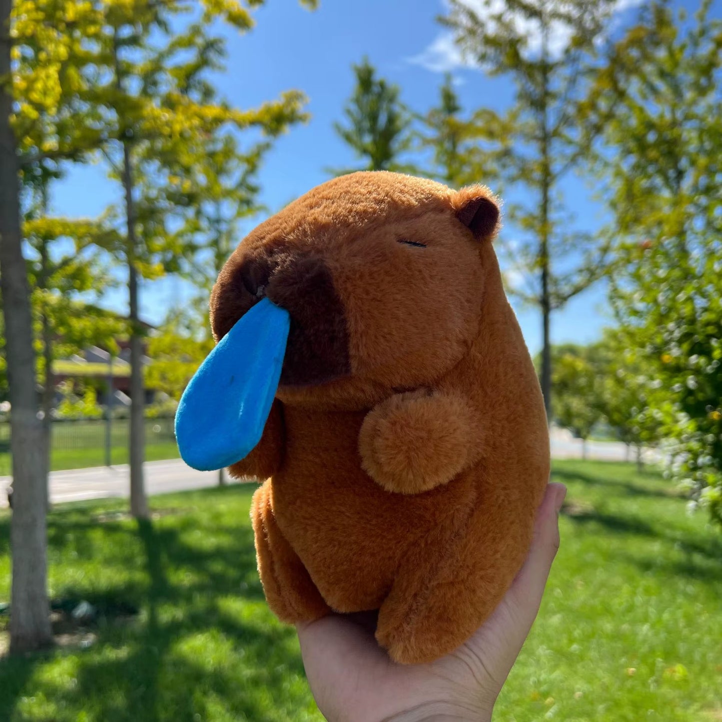 Capybara Plush Toy (Multiple Styles!)